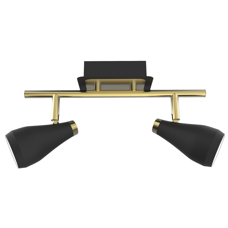 Berlin Brass & Black 2 Light Ceiling Spotlight
