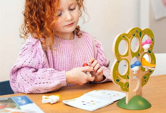 Smart Games - 5 Little Birds