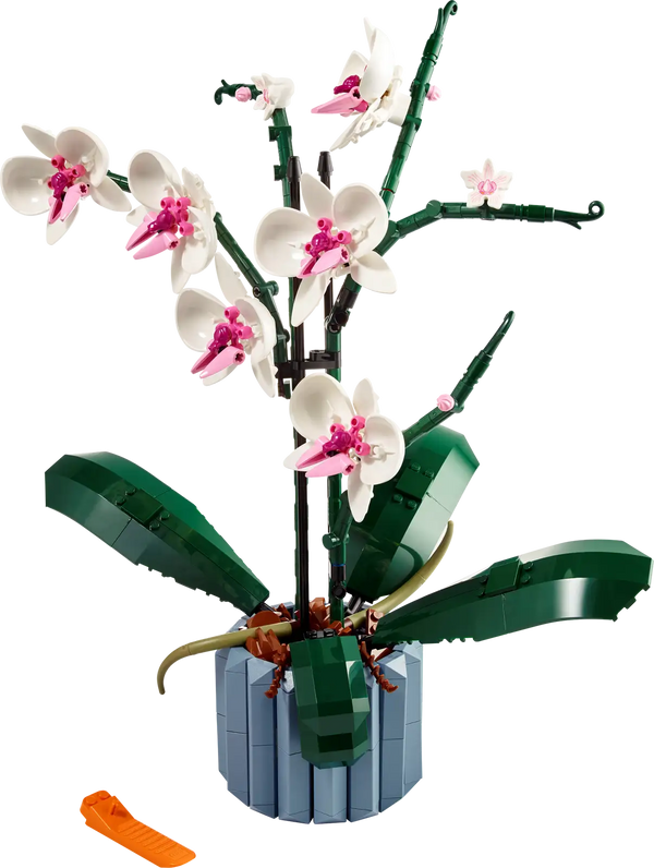 10311 Orchid Creator Expert