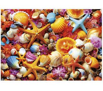 Puzzle 1000pc Shell Collage (Educa)
