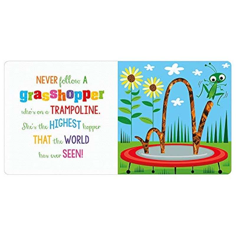 Touch & Feel - Never Follow A Spider!