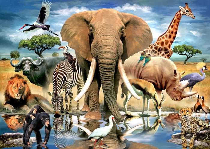 Puzzle 80pc Wild At Waterhole (African Oasis)