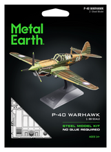 Puzzle 3D P-40 Warhawk 43pc (Metal Earth)
