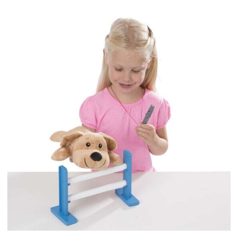 Tricks & Training Puppy School Playset