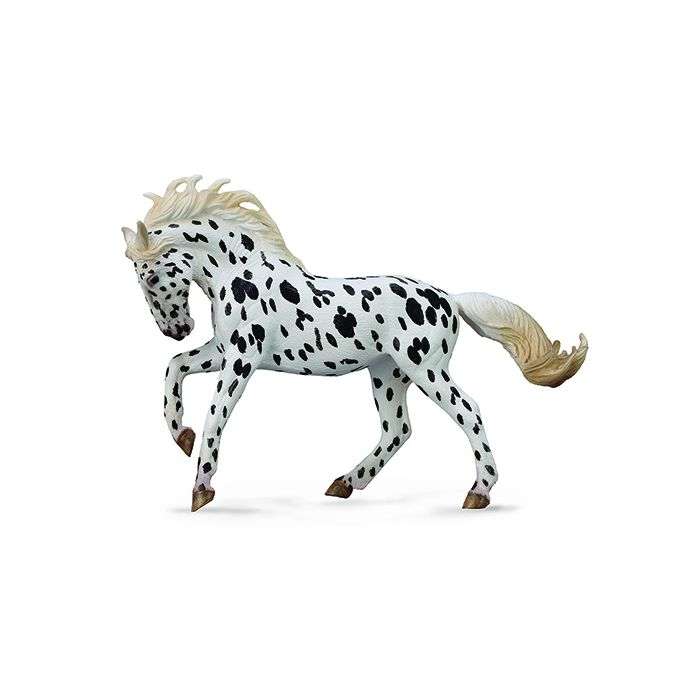 Knabstrupper Mare Black Leopard XL (Horse)