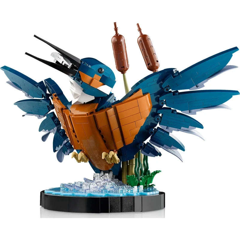 10331 Kingfisher Bird Icons