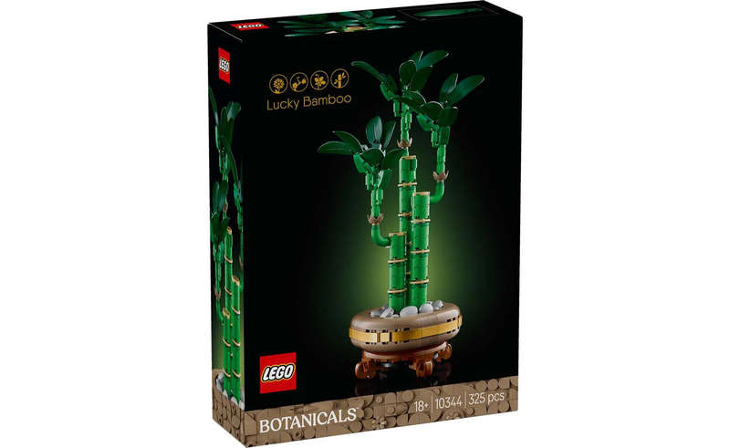 10344 Lucky Bamboo Botanicals