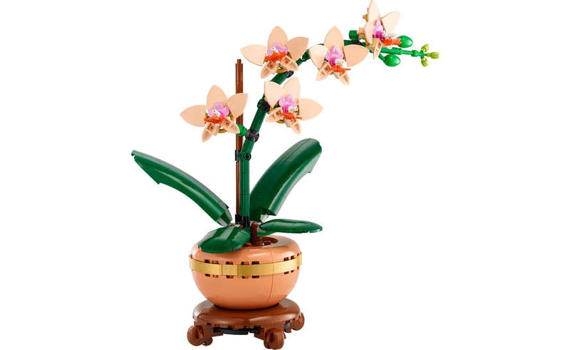 10343 Mini Orchid Botanicals