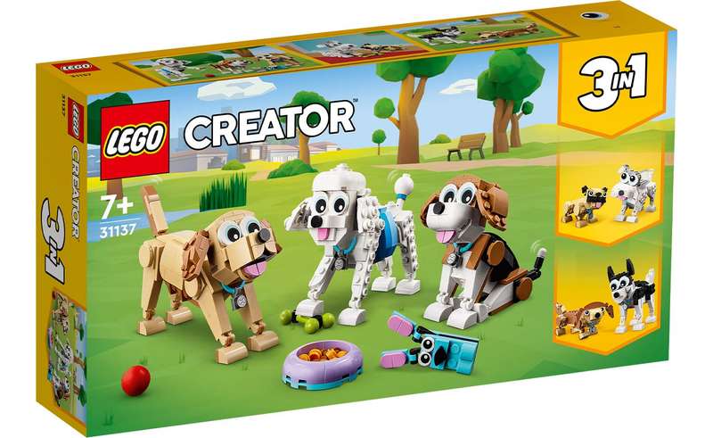 31137 Adorable Dogs Creator