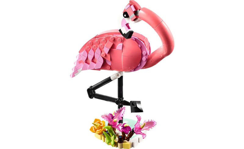 31170 Wild Animals Pink Flamingo Creator