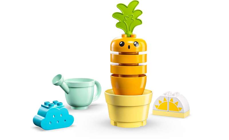 10981 Growing Carrot Duplo