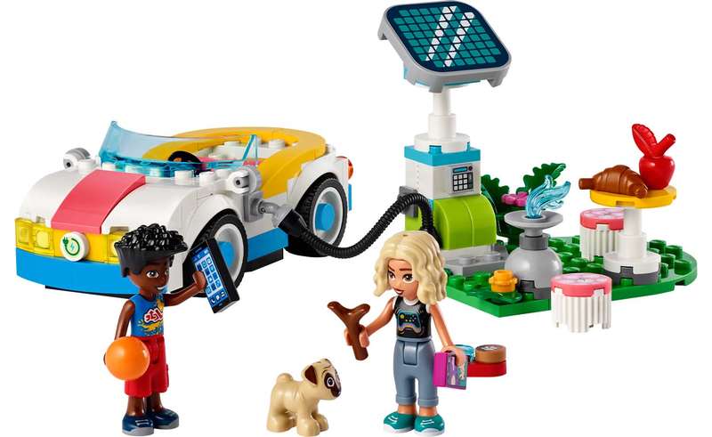 42609 Electric Car & Charger Friends