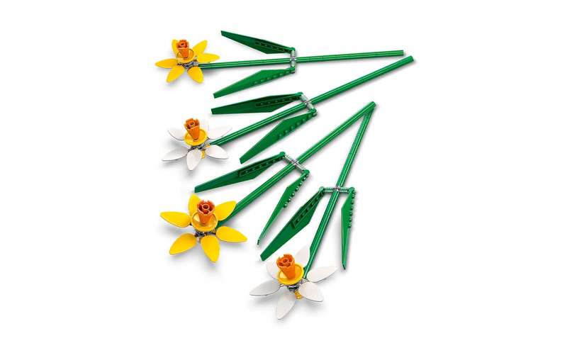 40747 Daffodils Lel Flowers