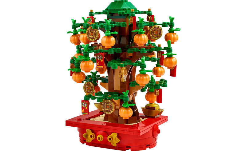 40648 Money Tree