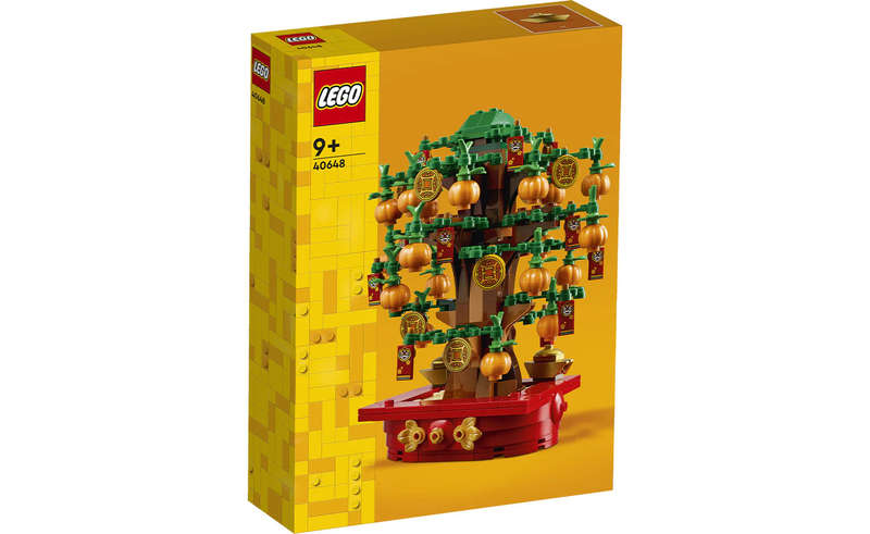 40648 Money Tree