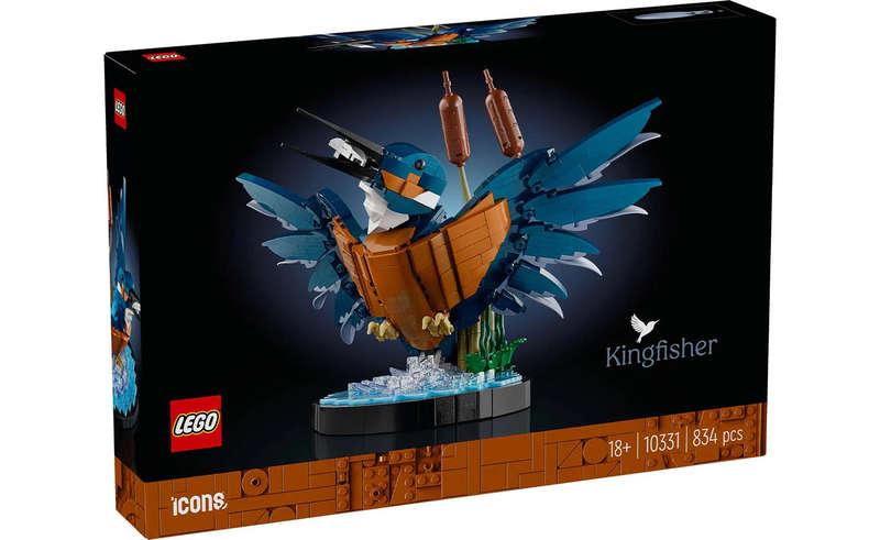 10331 Kingfisher Bird Icons