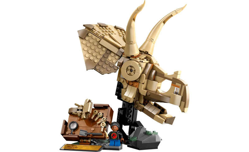 76969 Dinosaur Fossils: Triceratops Skull Jurassic