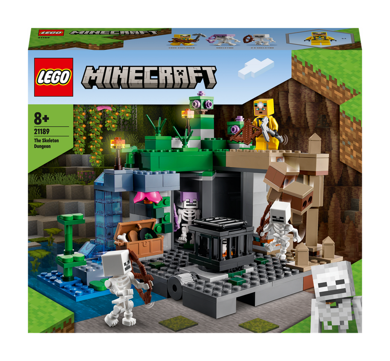 21189 The Skeleton Dungeon Minecraft