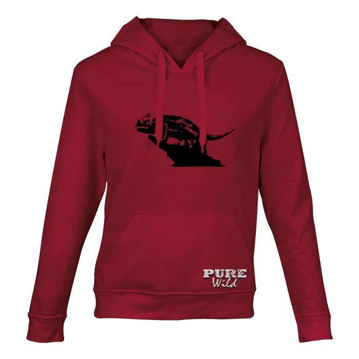Chameleon Hooded Sweatshirt for Him and Her