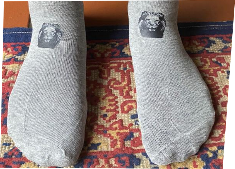 The Big Five Safari Socks Collection