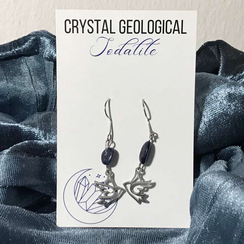 Assorted Sodalite Beaded Earrings