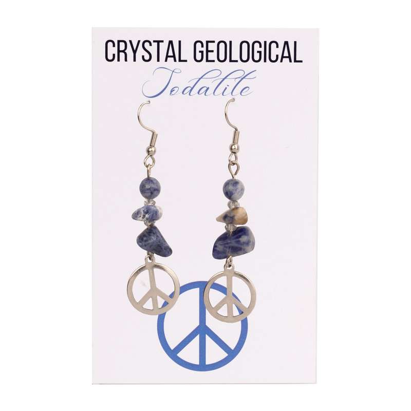 Assorted Sodalite Beaded Earrings