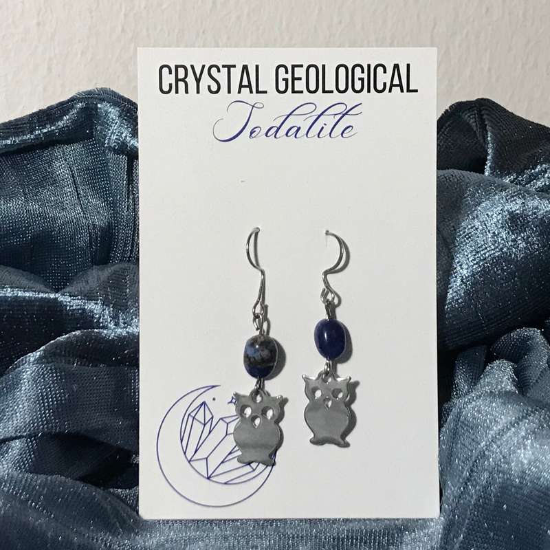 Assorted Sodalite Beaded Earrings