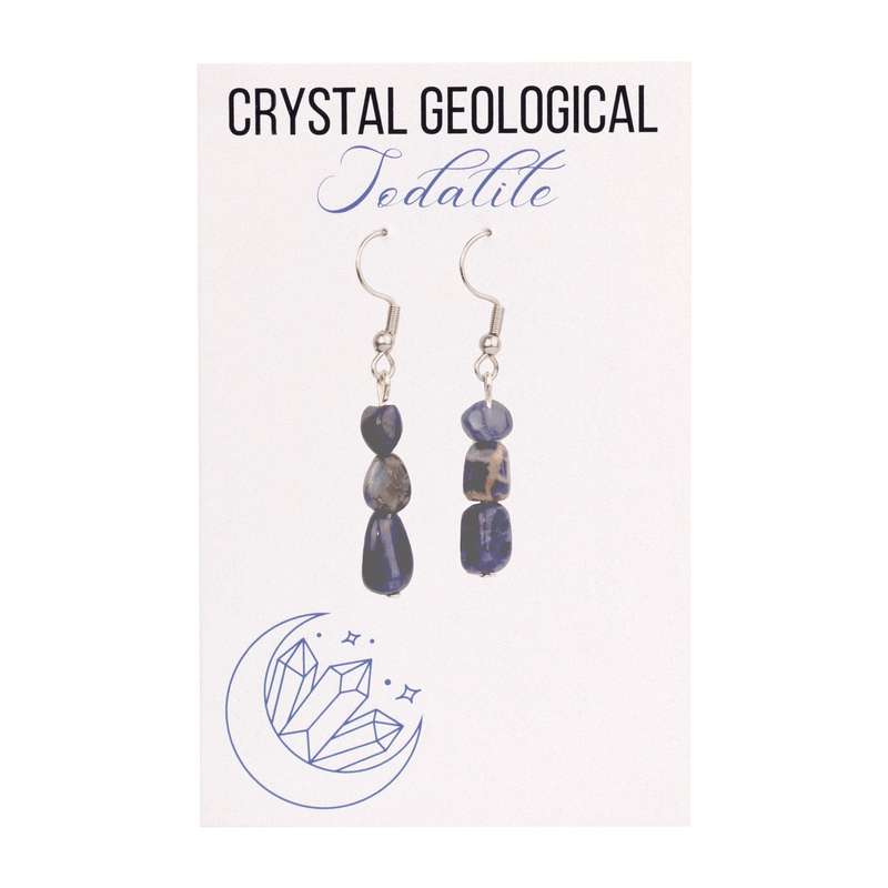 Assorted Sodalite Beaded Earrings
