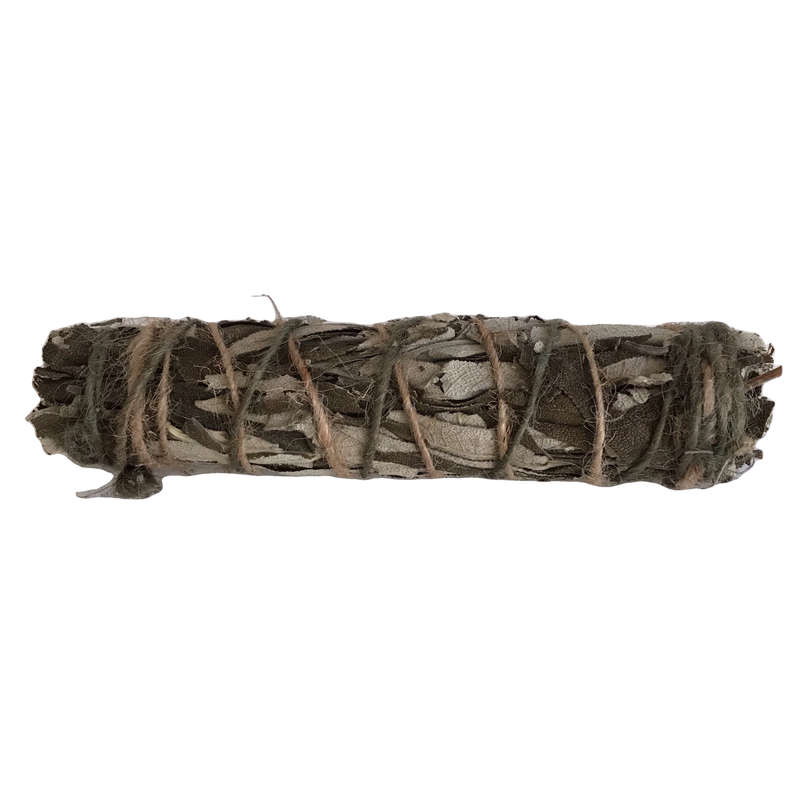 Wild African Sage Bundle