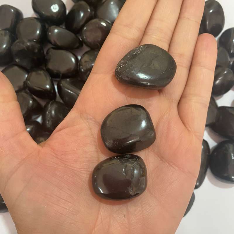 Shungite Tumble Stone