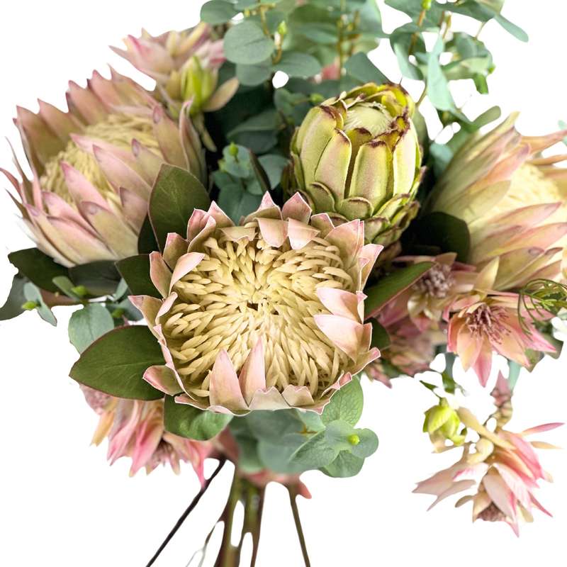 Protea Eucalyptus & Blushing Bride Tied Flower Bunch