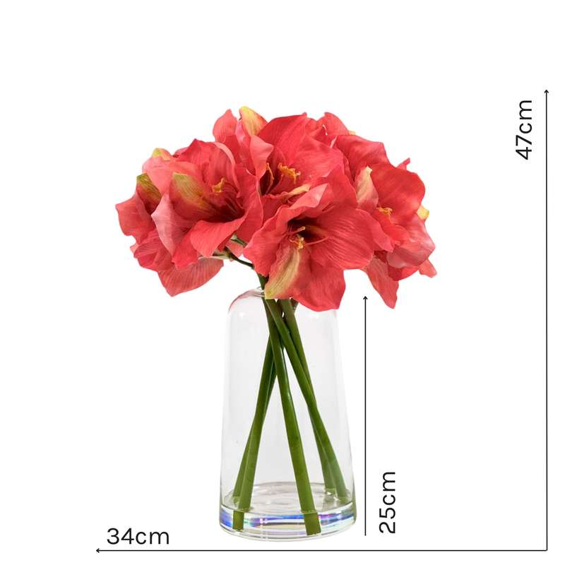 Amaryllis Coral Arrangement in Glass Vase