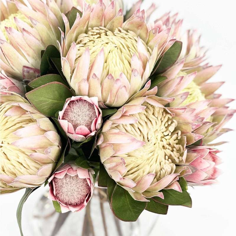 Green and Pink Protea Silk Flower Arrangement