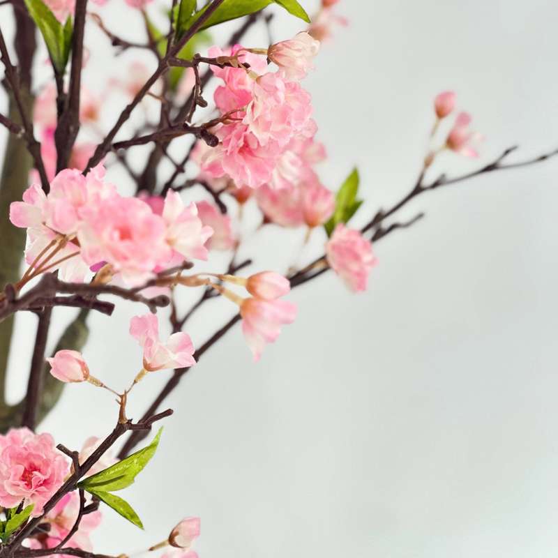 Cherry Blossom Pink Tree -160cm