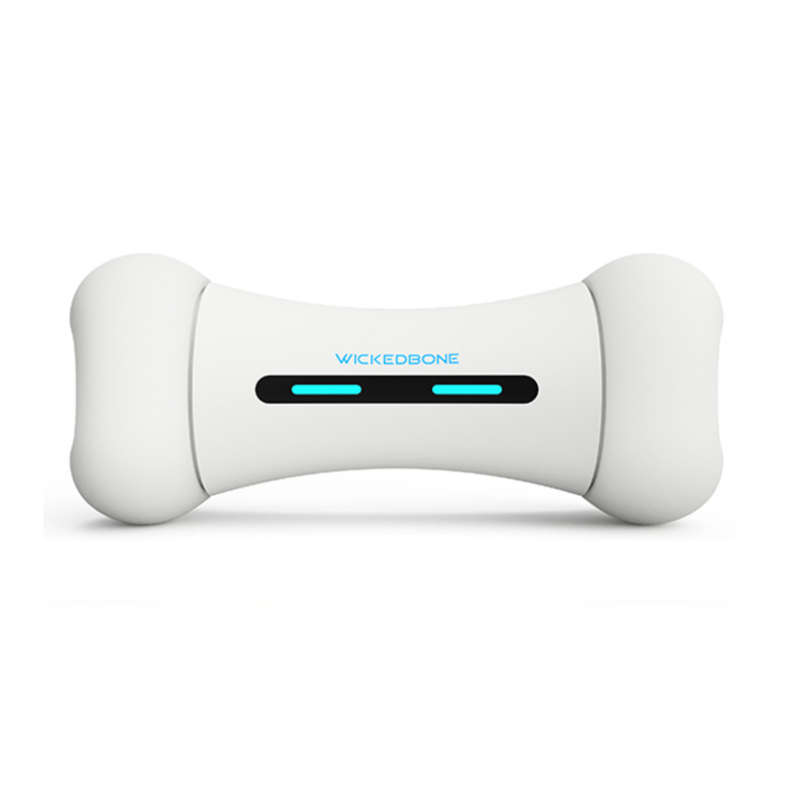 Smart Bone - Interactive Dog Toy (In White)