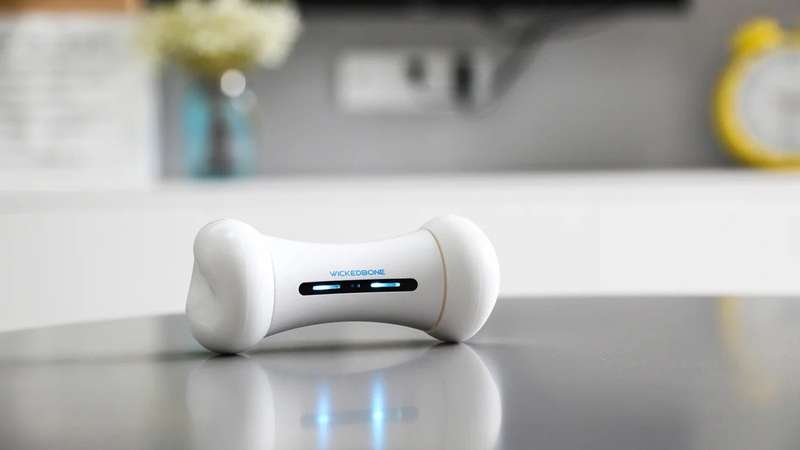 Smart Bone - Interactive Dog Toy (In White)