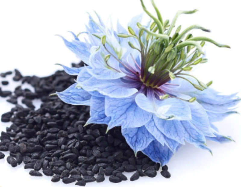 Botalife Black Seed Oil 100ml Unlock your true potential and experience the power of Blac... - 100ml