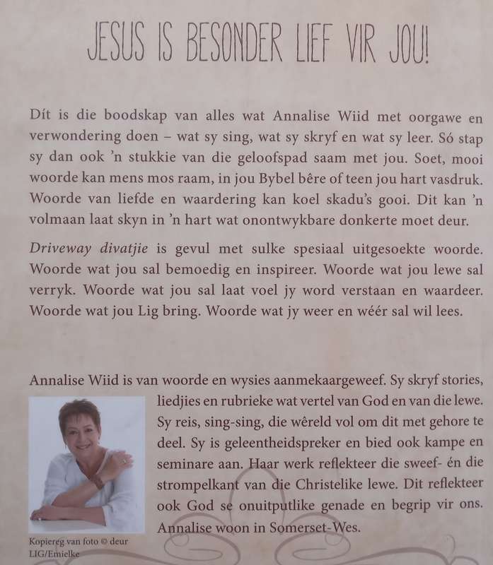 Driveway Divatjie: n Versameling Essays (Afrikaans) | Annalise Wiid