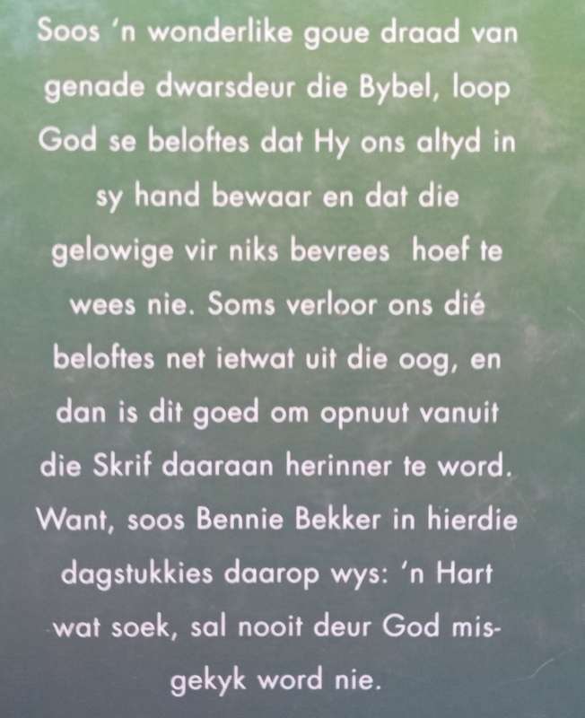 Moenie Bang Wees Nie: 31 Dagstukkies oor Ons Versongende Vader (Afrikaans) | Bennie Bekker
