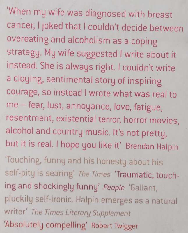 It Takes a Worried Man: A Memoir | Brendan Halpin