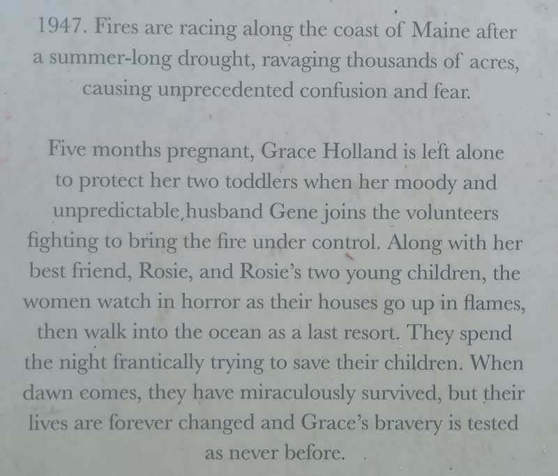 The Stars are Fire | Anita Shreve