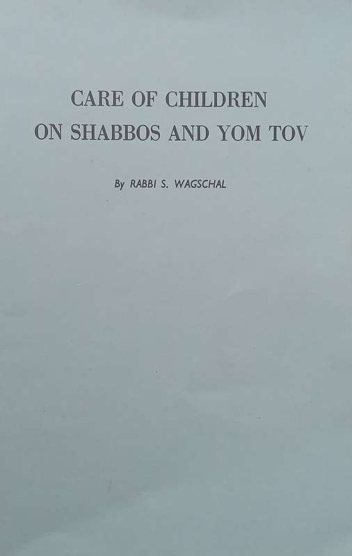 Care of Children on Shabbos and Yom Tov | Rabbi S. Wagschal