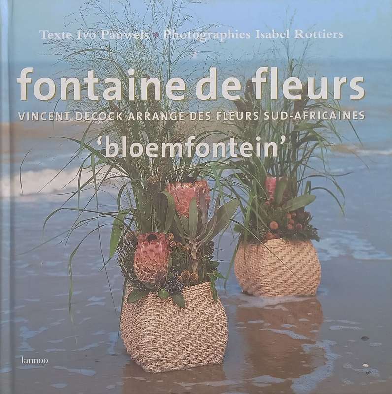 Fontaine de Fluers Bloemfontein (French) | Ivo Pauwels