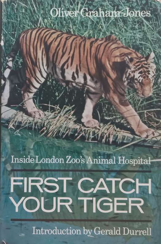 First Catch Your Tiger: Inside London Zoos Animal Hospital | Oliver Graham-Jones