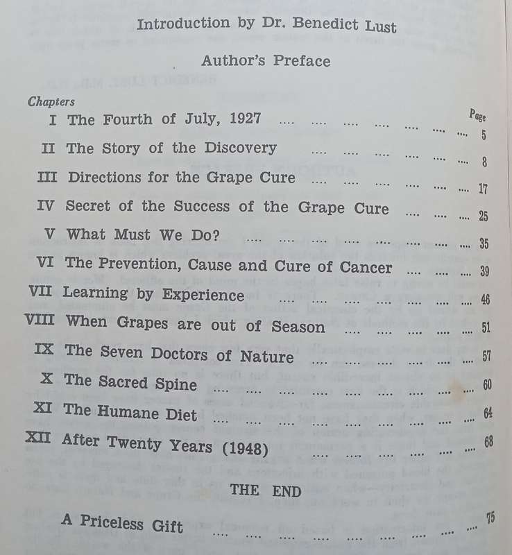 The Grape Cure | Johanna Brandt