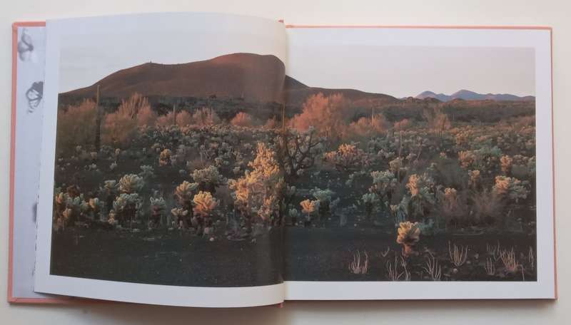 Mexicos Natural Wonders: Ensuring the Future through Conservation | Ernesto Enkerlin Hoeflich