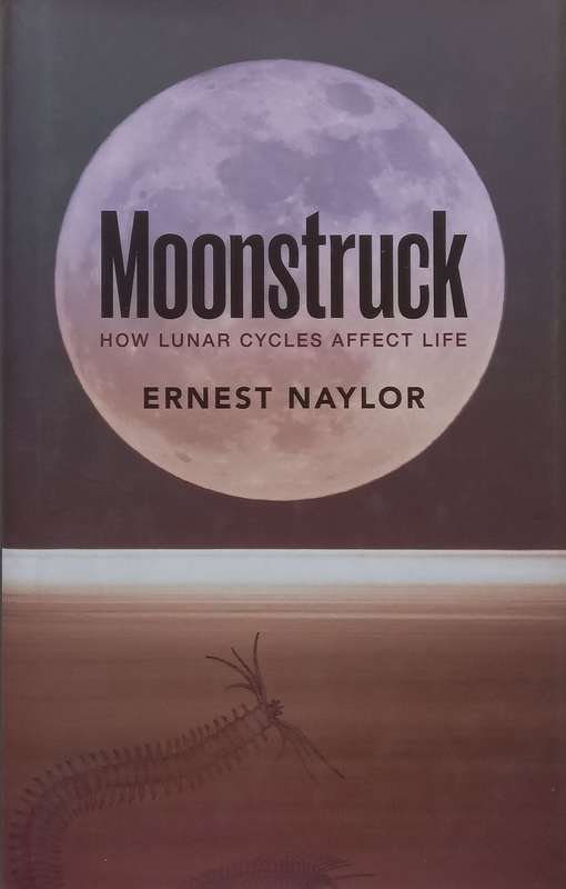 Moonstruck: How Lunar Cycles Affect Life | Ernest Naylor