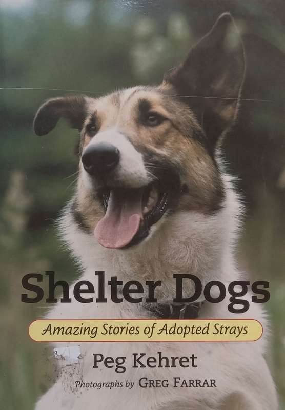 Shelter Dogs: Amazing Stories of Adopted Strays | Peg Kehret