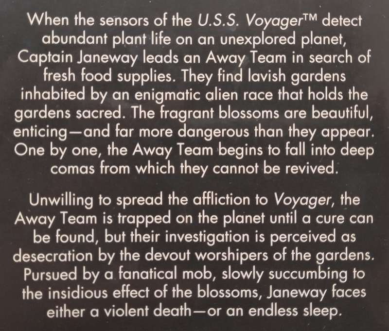 Chrysalis (Star Trek Voyager No. 12) | David Niall Wlison