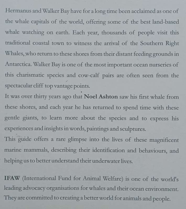 The Whales of Walker Bay | Noel Ashton